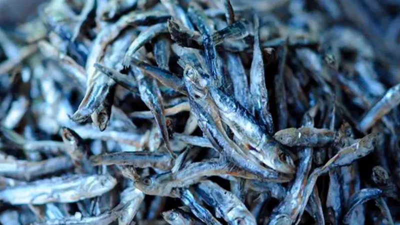 Pejines, sardinas asadas, jareas