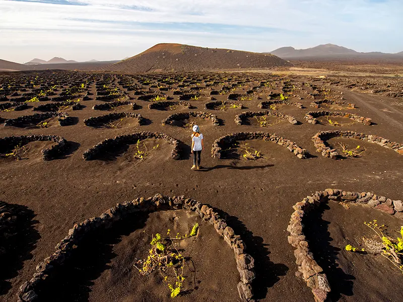 Visita a los viñedos de Lanzarote